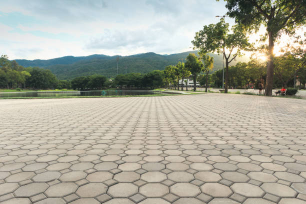 Best Driveway Pavers Near Me  in Victoria, VA