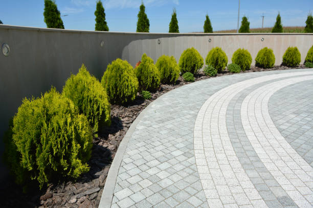 Reasons to Select Us for Your Driveway Paving Requirements in Victoria, VA